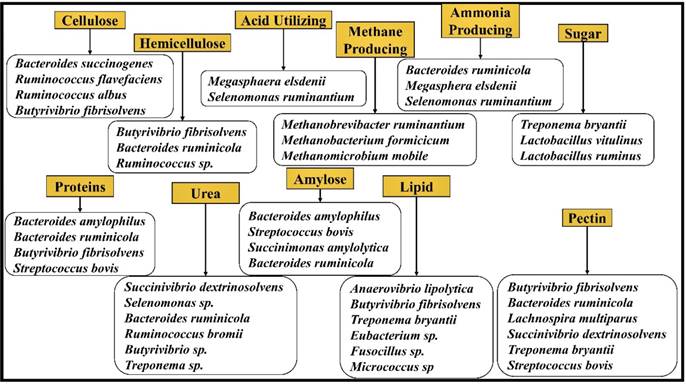 J Genomics Image