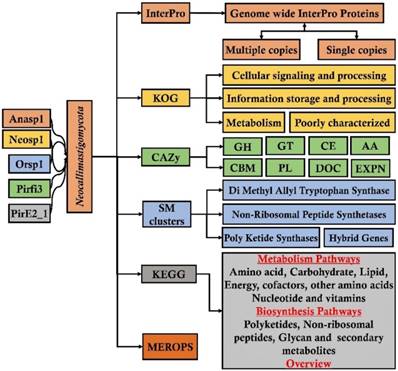 J Genomics Image