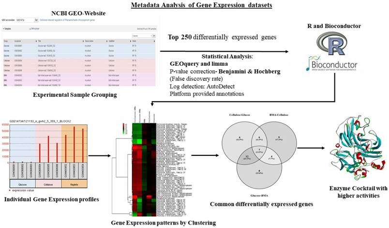 J Genomics Image