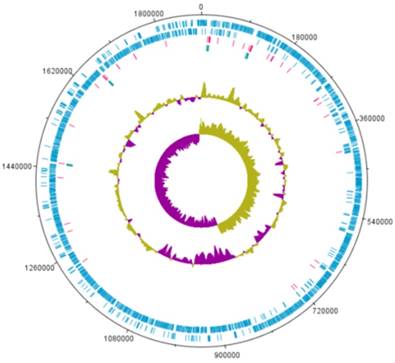 J Genomics Image