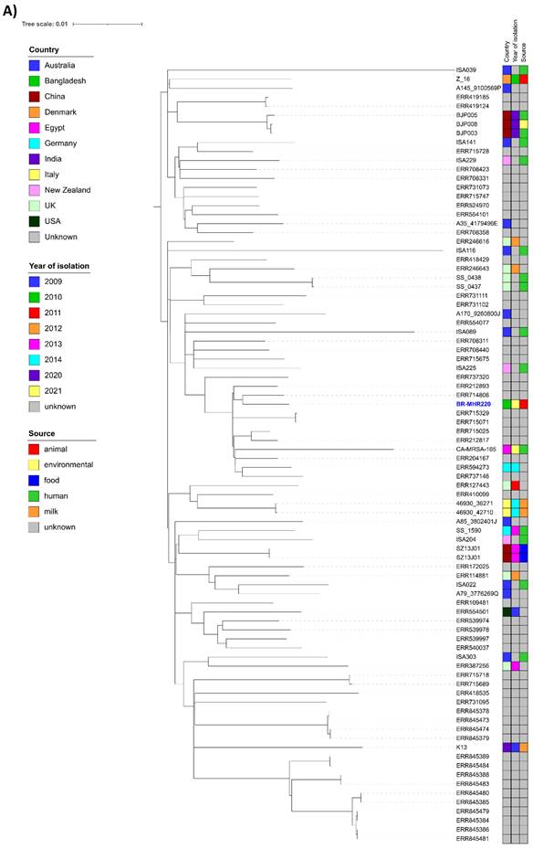 J Genomics Image