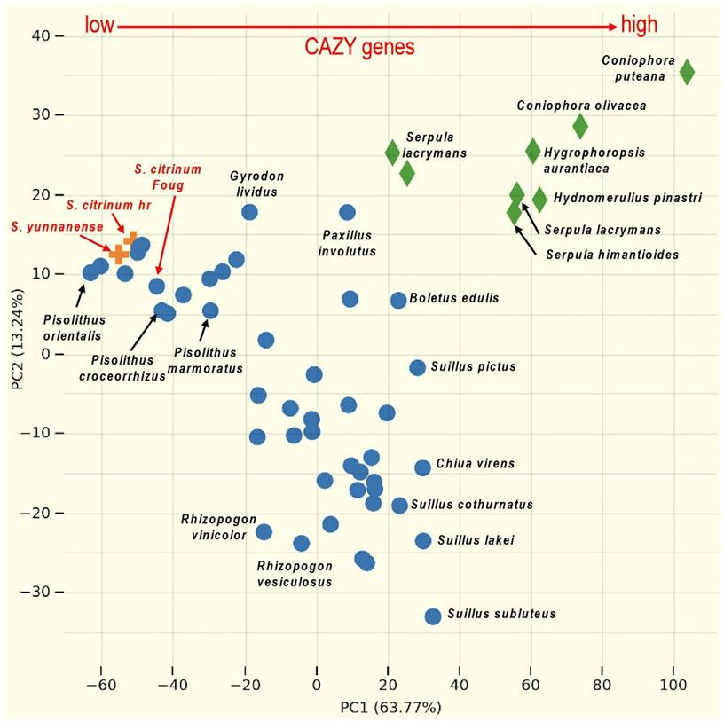 J Genomics Image