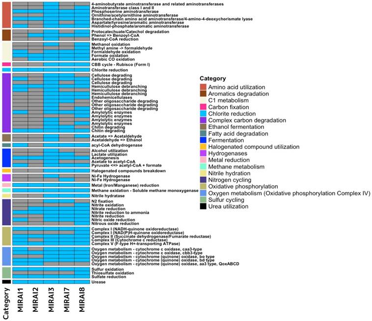 J Genomics Image