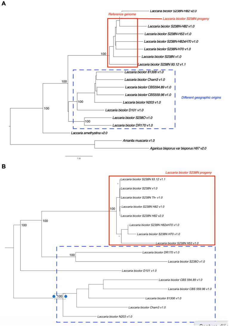 J Genomics Image